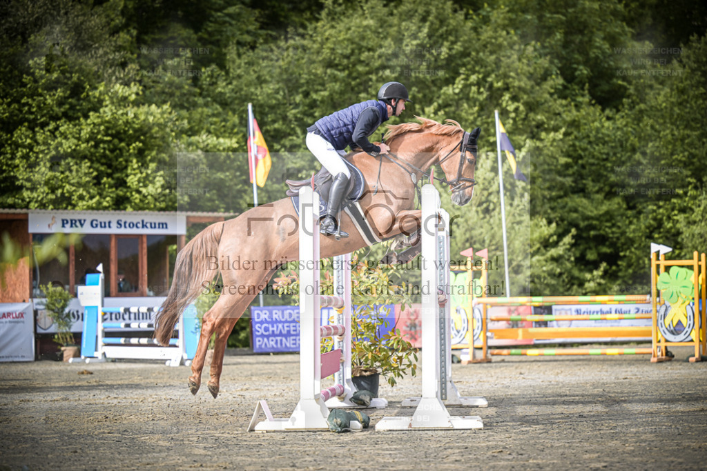 DOS_1605 | Entdecke hochwertige Reitturnierfotos von Foto Oger. Professionell, emotional und authentisch – jetzt Lieblingsmomente im Shop bestellen. - Realisiert mit Pictrs.com