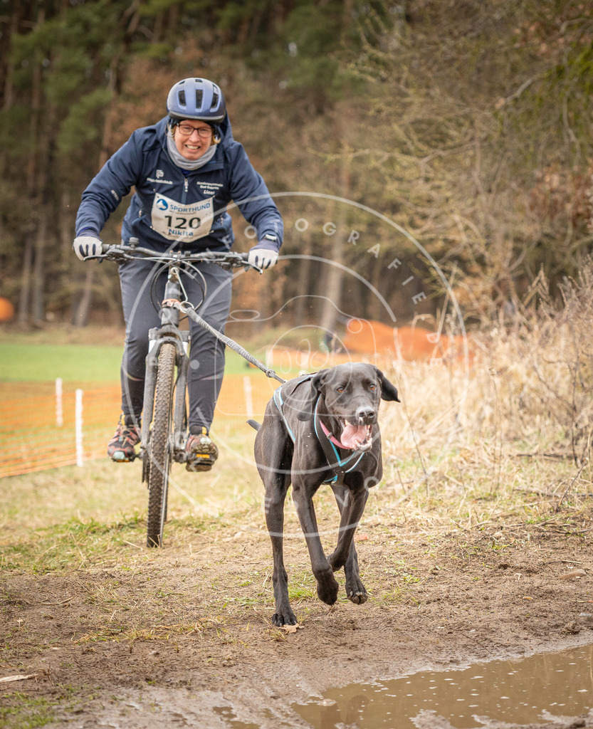 DV3A1066 | Hundefotografie, Tierfotograf, Pfotenfotografie, Fotoshooting Hund, Hunde Portrait, Hundesport, Hundeportraits, Heideshooting, Hunde, Sportfotograf, Hundefotograf, Turnierhundsport, THS,  - Realisiert mit Pictrs.com