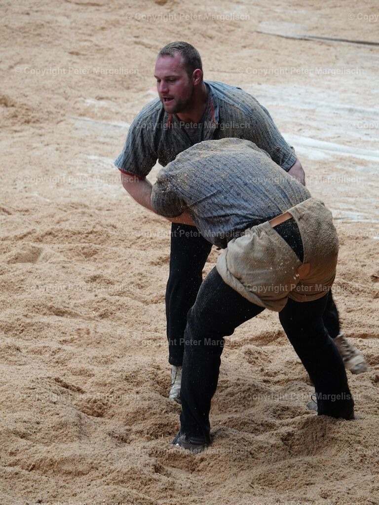 k-DSC06158 | Schwingen - Realisiert mit Pictrs.com