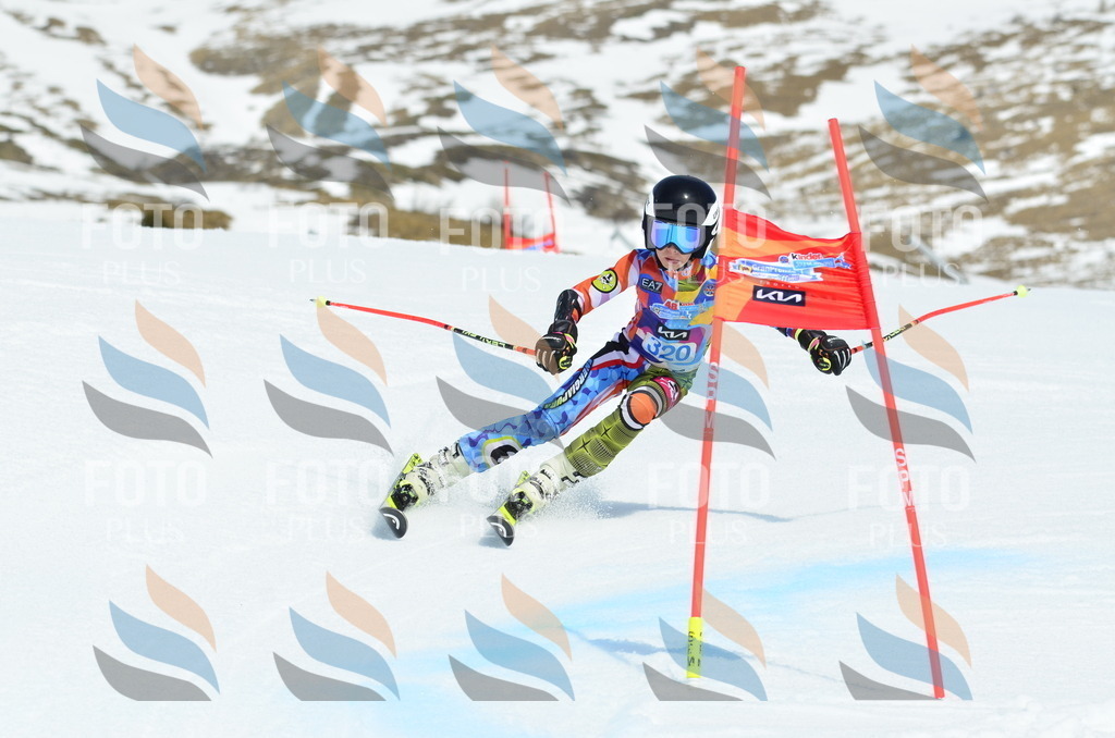 _ELE2463 | holidayphoto