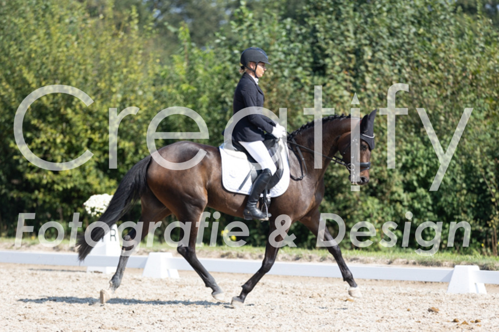 IMG_4528 | Creatify Fotografie