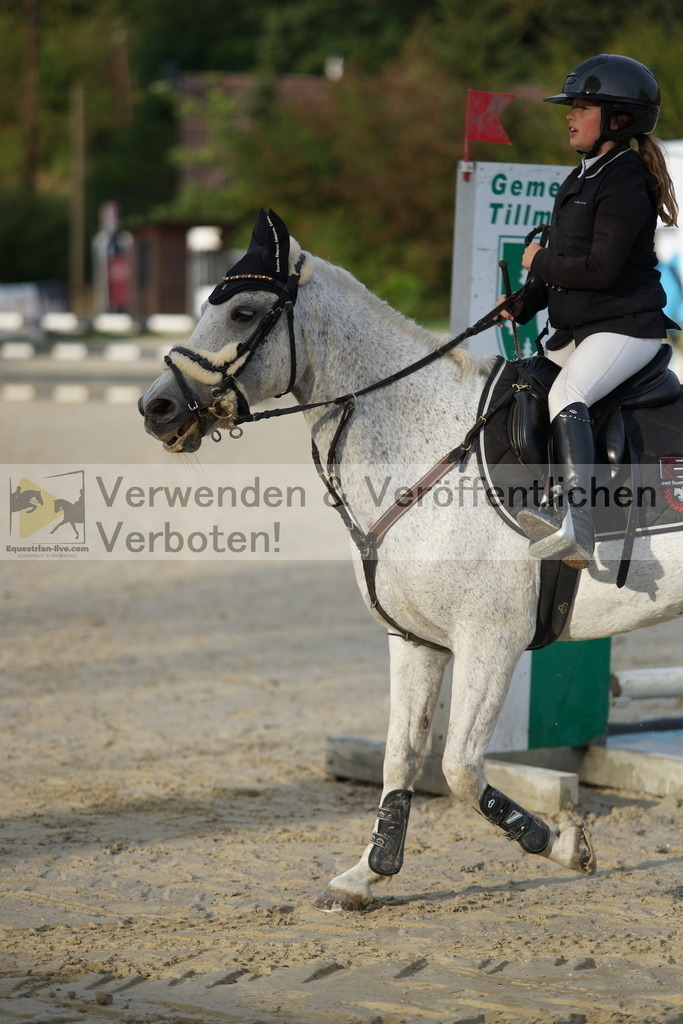 DSC02578 | equestrian-live-com