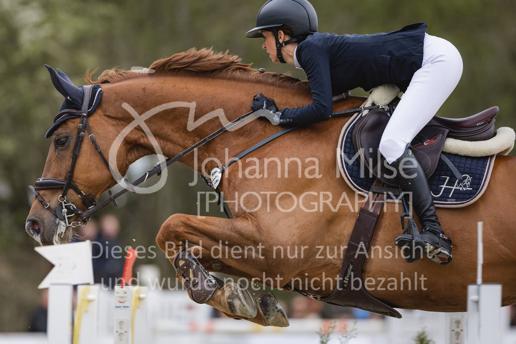 220424_Sudheim_S-Springen-262 | Sudheimer Outdoors 2022
Springprüfung Kl.S*** mit Stechen