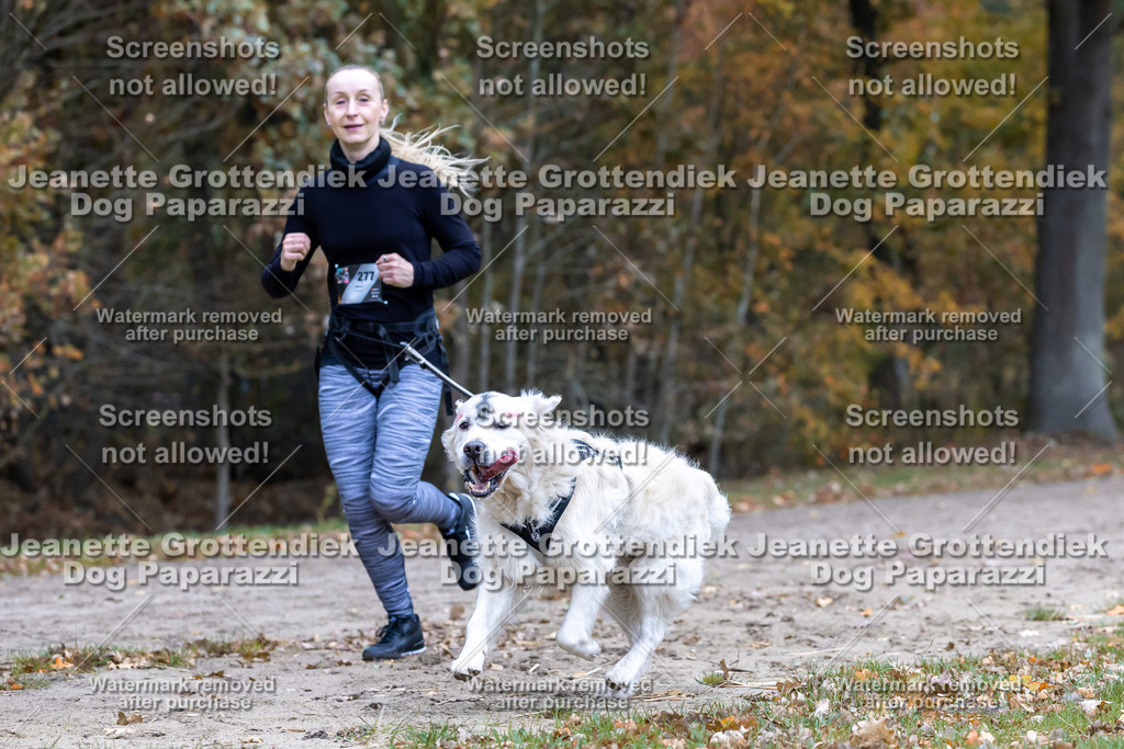 Dog Paparazzi - SD CaniX Championship 2025-557 | Dog Paparazzi Jeanette Grottendiek Fotografie & Videografie - Realisiert mit Pictrs.com