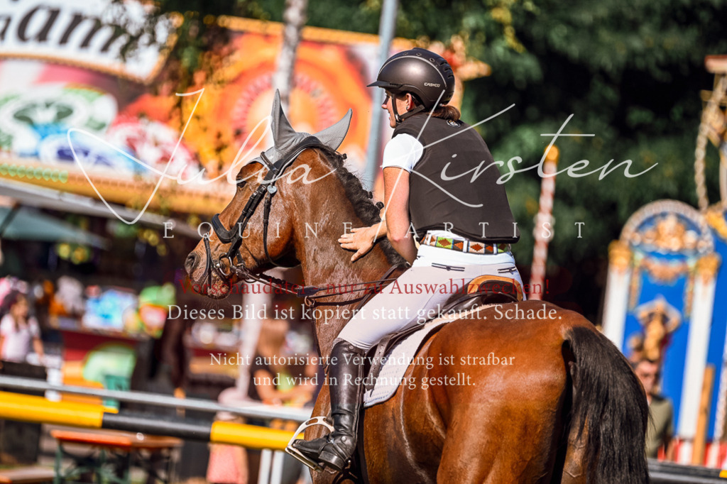 DSC_1180 | Pferde- und Turnierfotografie in Westsachsen. Pferdeportraits, Auftragszeichnungen und intuitive Kunst.