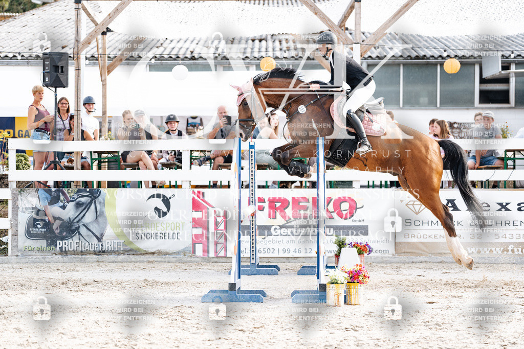 CK906802 | Turnierfotografie Pferdefotografie Trier Rheinland-Pfalz Pferdesport Reitsport Tierfotografie Sportfotografie Pferdevideo Pferdevideografie Equestrianvideography equestrianphotography  - Realisiert mit Pictrs.com