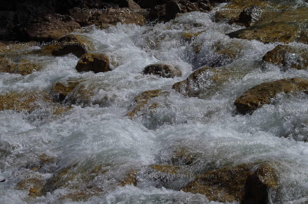 IMGP6242 | fotografiert von Axel PollmannLeonhardi Wallfahrt Benediktbeuern und Murnau, Fronleichnam, Fasching, Landschaft im Loisachtal und Benediktbeuern  - Realisiert mit Pictrs.com