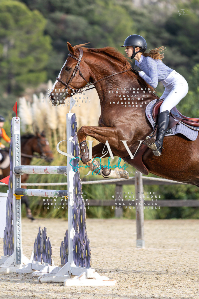 IMG_4583 | s-jay-photography - Realisiert mit Pictrs.com