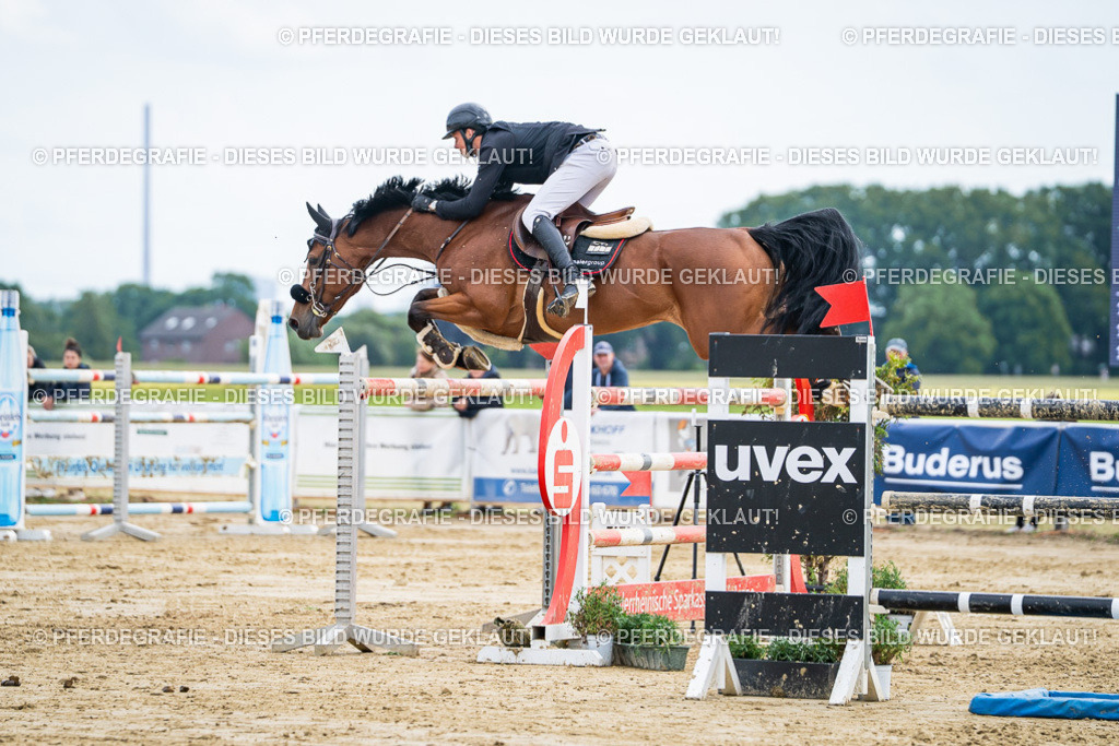 DSC06930 | Pferdegrafie