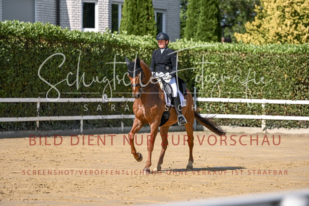 Schugtsche-Aluta25-58. Dressurprf.S1Kand.St.GeorgSpecial-288 | Schugtsche Fotografie - Realisiert mit Pictrs.com