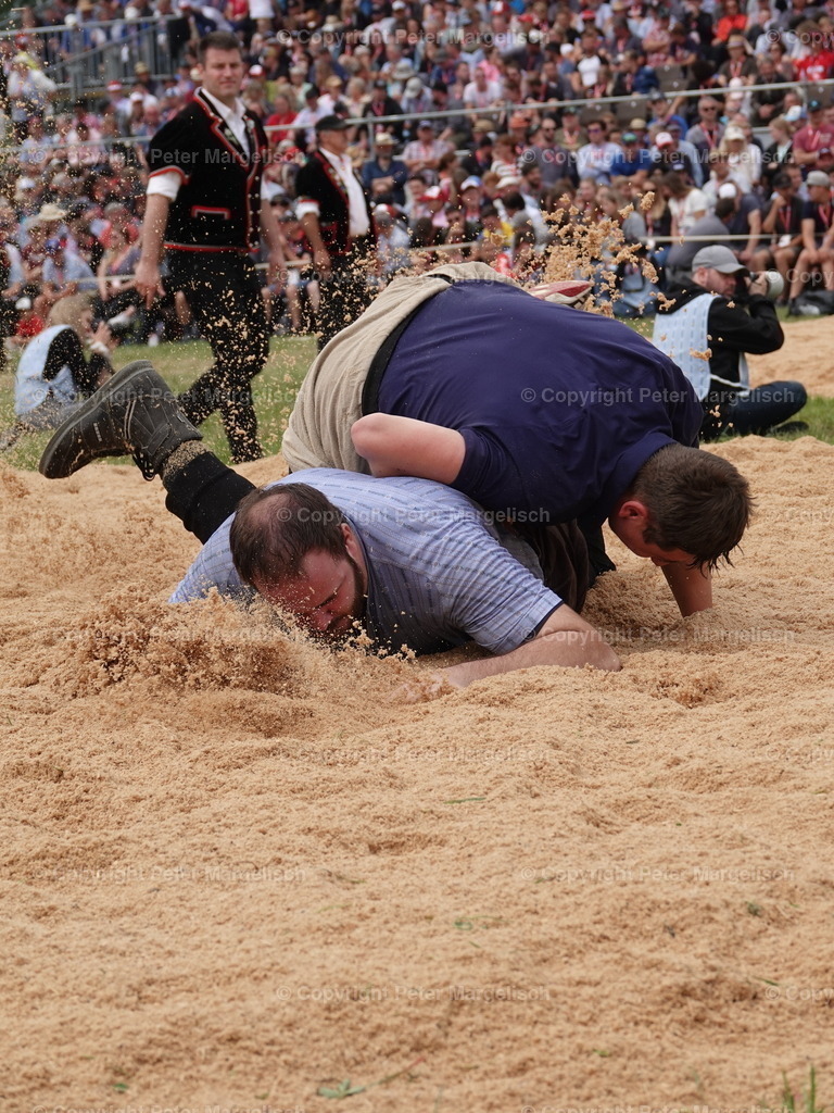 DSC04936 | Schwingen - Realisiert mit Pictrs.com