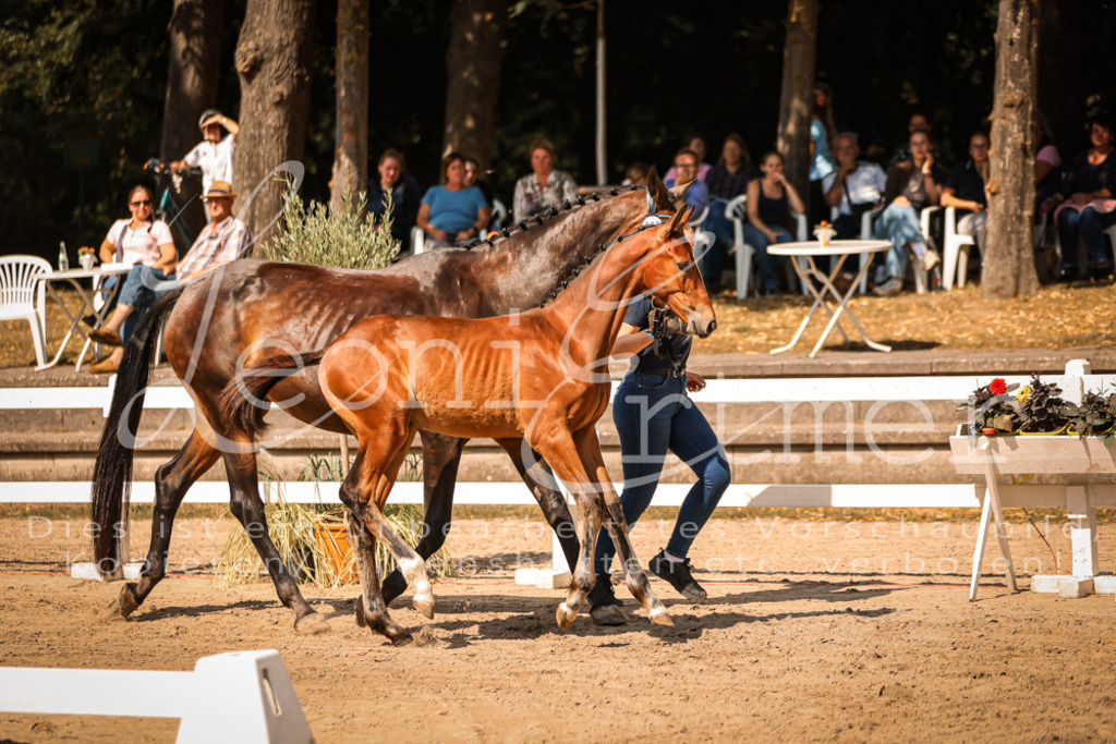 07.DoWBS00064 | Leoni Ertmer Photography - Realisiert mit Pictrs.com