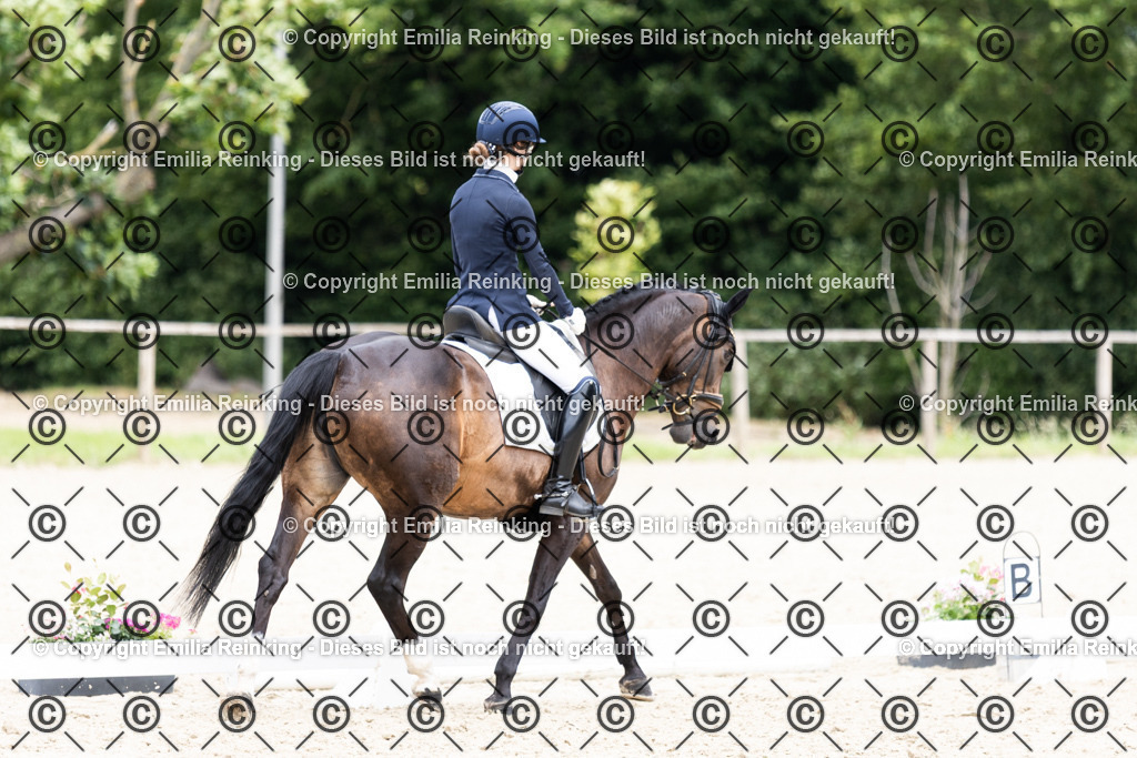 CL5A3600 | Emilia Reinking Fotografie - Realisiert mit Pictrs.com