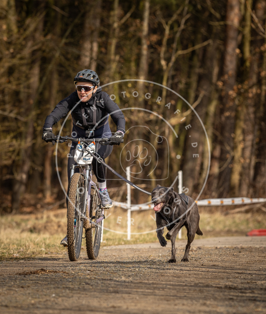 DV3A4436 | Hundefotografie, Tierfotograf, Pfotenfotografie, Fotoshooting Hund, Hunde Portrait, Hundesport, Hundeportraits, Heideshooting, Hunde, Sportfotograf, Hundefotograf, Turnierhundsport, THS,  - Realisiert mit Pictrs.com