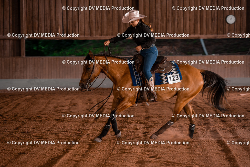 NE201446 | dv-media-shop - Realisiert mit Pictrs.com