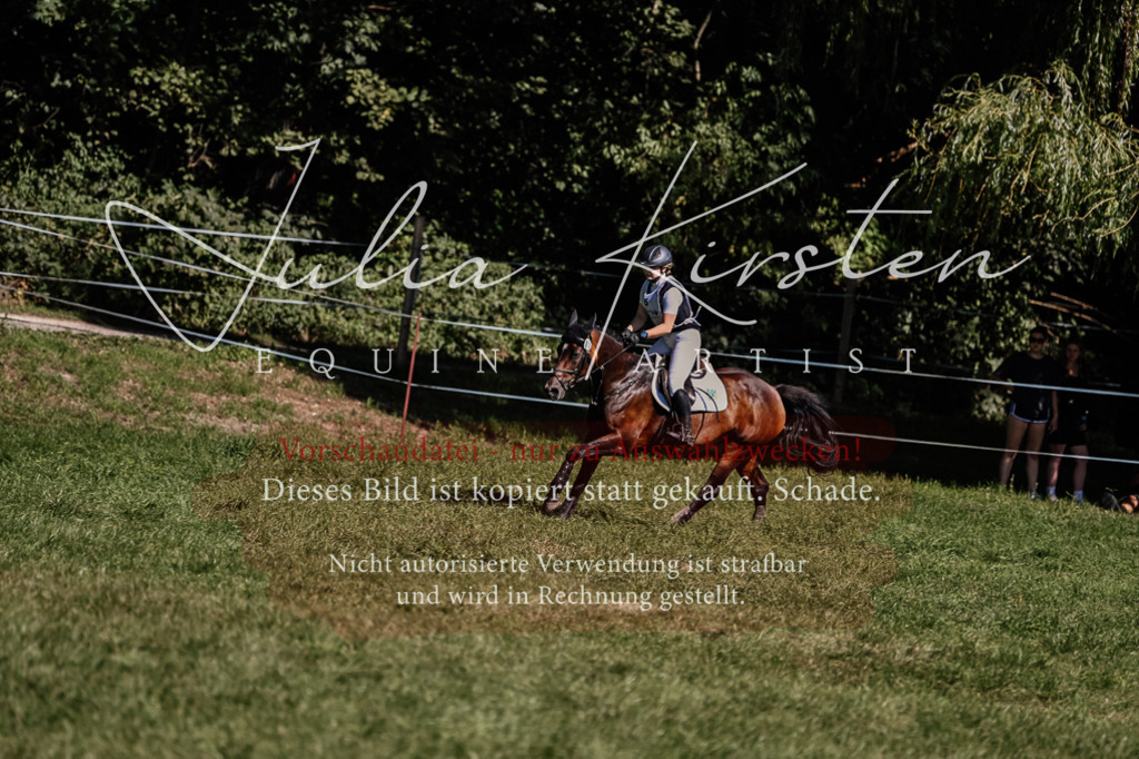 DSC_1494 | Pferde- und Turnierfotografie in Westsachsen. Pferdeportraits, Auftragszeichnungen und intuitive Kunst.
