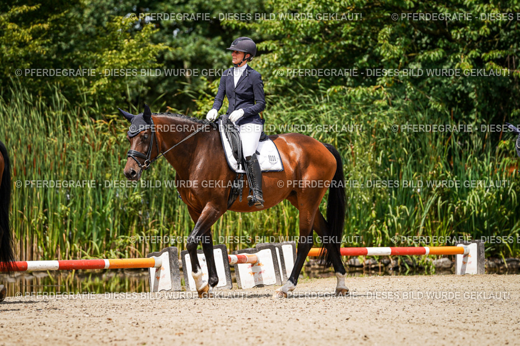 DSC02206 | Pferdegrafie