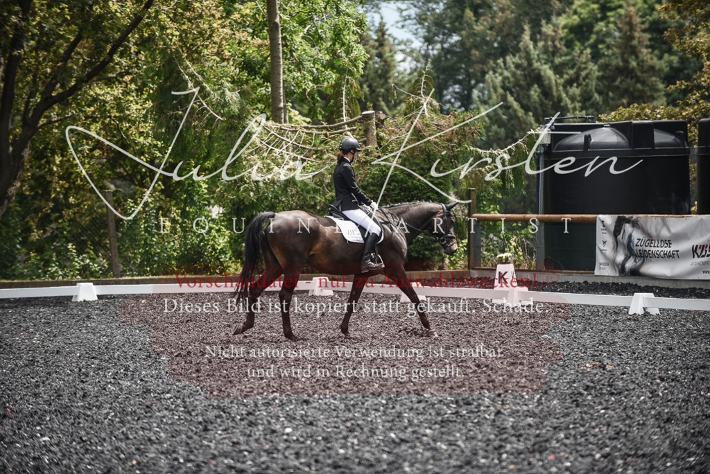 DSC_4679 | Pferde- und Turnierfotografie in Westsachsen. Pferdeportraits, Auftragszeichnungen und intuitive Kunst.