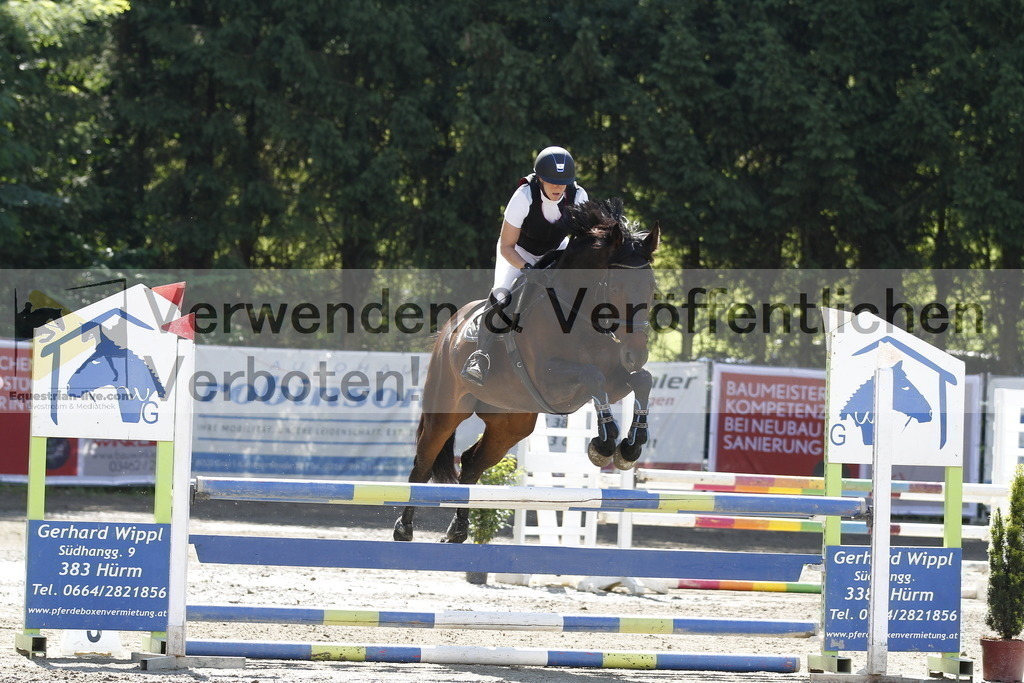 _MG_1498 | equestrian-live-com