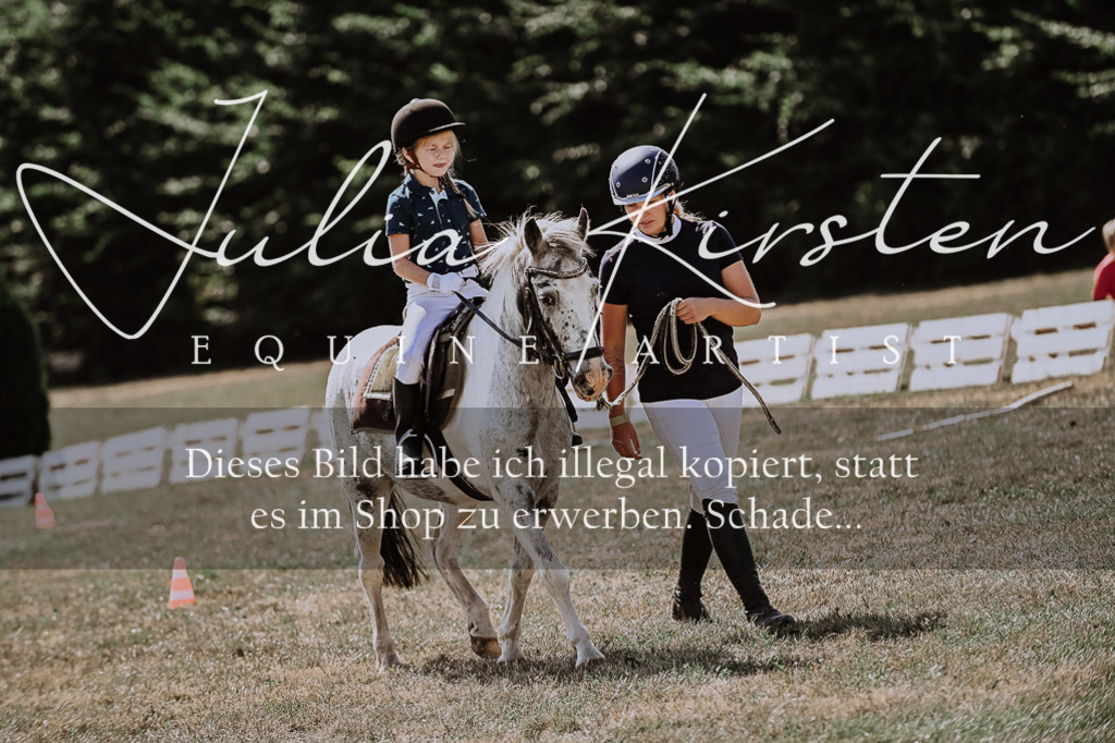 DSC_7940 | Pferde- und Turnierfotografie in Westsachsen. Pferdeportraits, Auftragszeichnungen und intuitive Kunst.