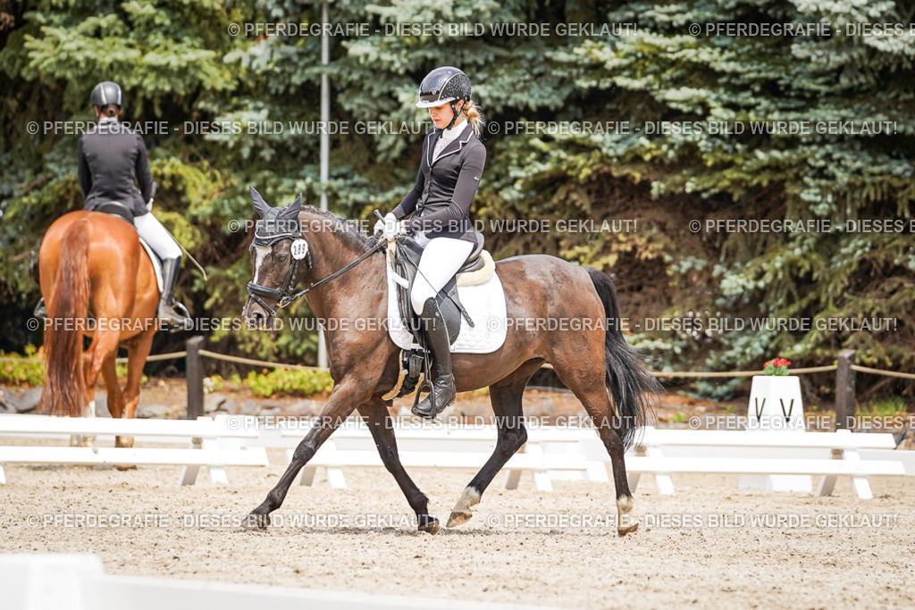 DSC03849 | Pferdegrafie