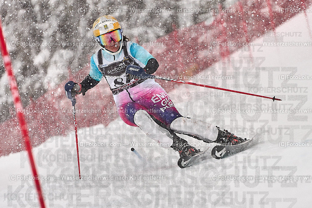 _ALP9087_MASTERS-WM_Reiteralm_CD_SL-I_FREY Tina | FISWORLD CHAMPIONSHIPSMASTERS ALPINE SKIING, 23. – 28. MÄRZ 2026 - REITERALM | STMK | AUT.   Veranstaltet vom Masters-Referat des Deutschen Skiverbandes (DSV). Durchführende Organisation: WSV Pichl-Reiteralm, unterstütutzt von den Bergbahnen REITERALM bei Schladming und SKI AUSTRIA.                            Disziplinen:  Super-G, GiantSlalom, Slalom.                                                 Kategorien:  A (Herrn 30-59 Jahre), B (Herrn ab 60 Jahre), C (Damen 30-59 Jahre), D (Damen ab 60 Jahre).                Rennstrecken:   Gasselhöhe und Muldenliftpiste auf der Reiteralm.