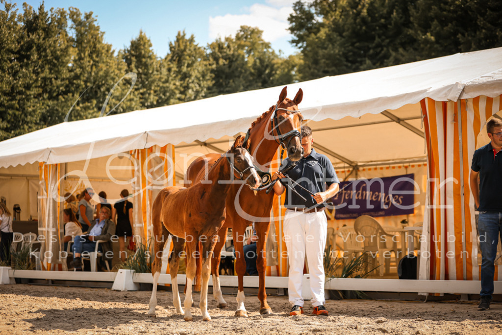 09.DoWBD00116 | Leoni Ertmer Photography - Realisiert mit Pictrs.com