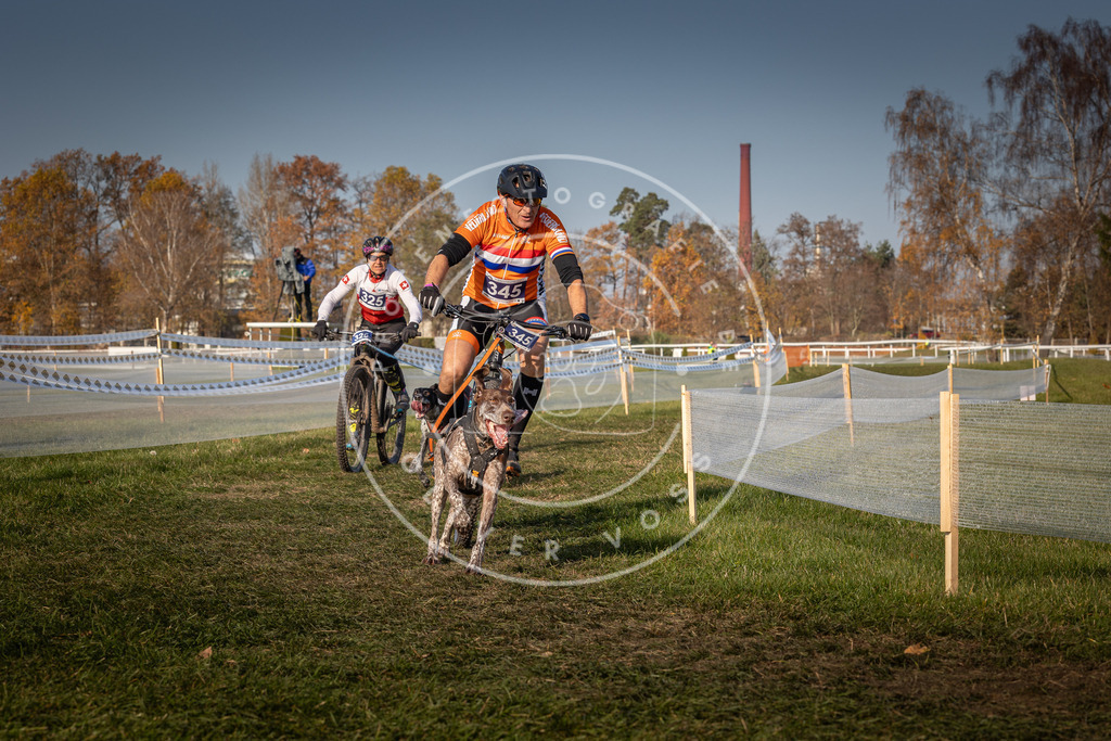 CaniXpix_0L8A7769 | Hundefotografie, Tierfotograf, Pfotenfotografie, Fotoshooting Hund, Hunde Portrait, Hundesport, Hundeportraits, Heideshooting, Hunde, Sportfotograf, Hundefotograf, Turnierhundsport, THS,  - Realisiert mit Pictrs.com