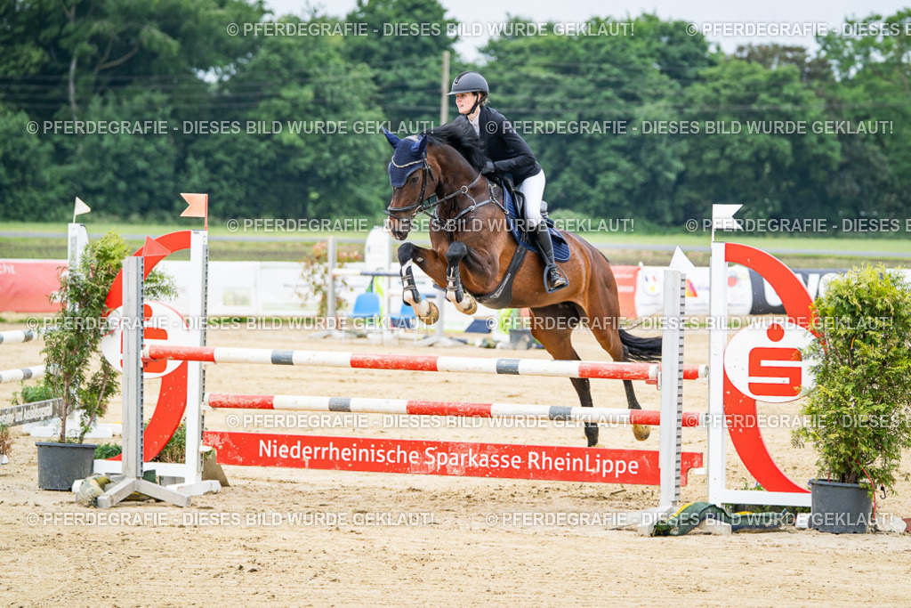 DSC03482 | Pferdegrafie