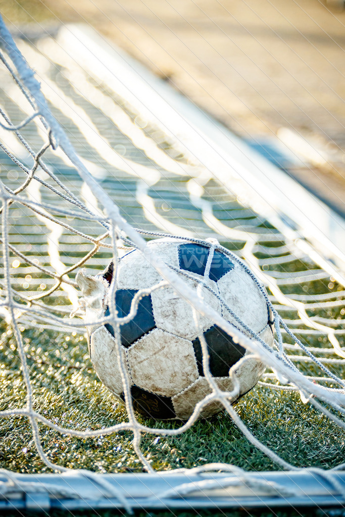 20220316_JSpicselweb_1DX_0959 | Dein Fotograf aus dem Landkreis Stade für Sport und Events - Realisiert mit Pictrs.com