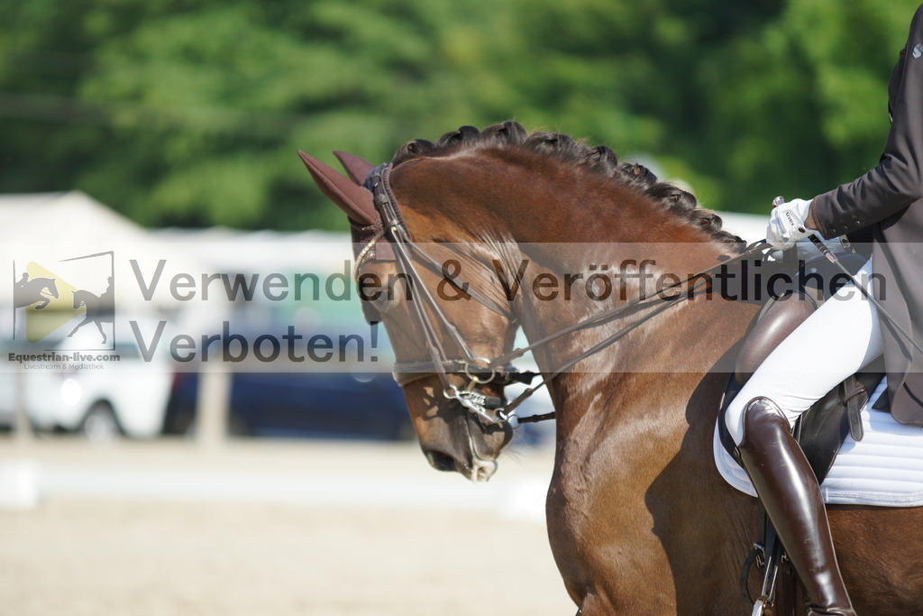 DSC02559 | equestrian-live-com