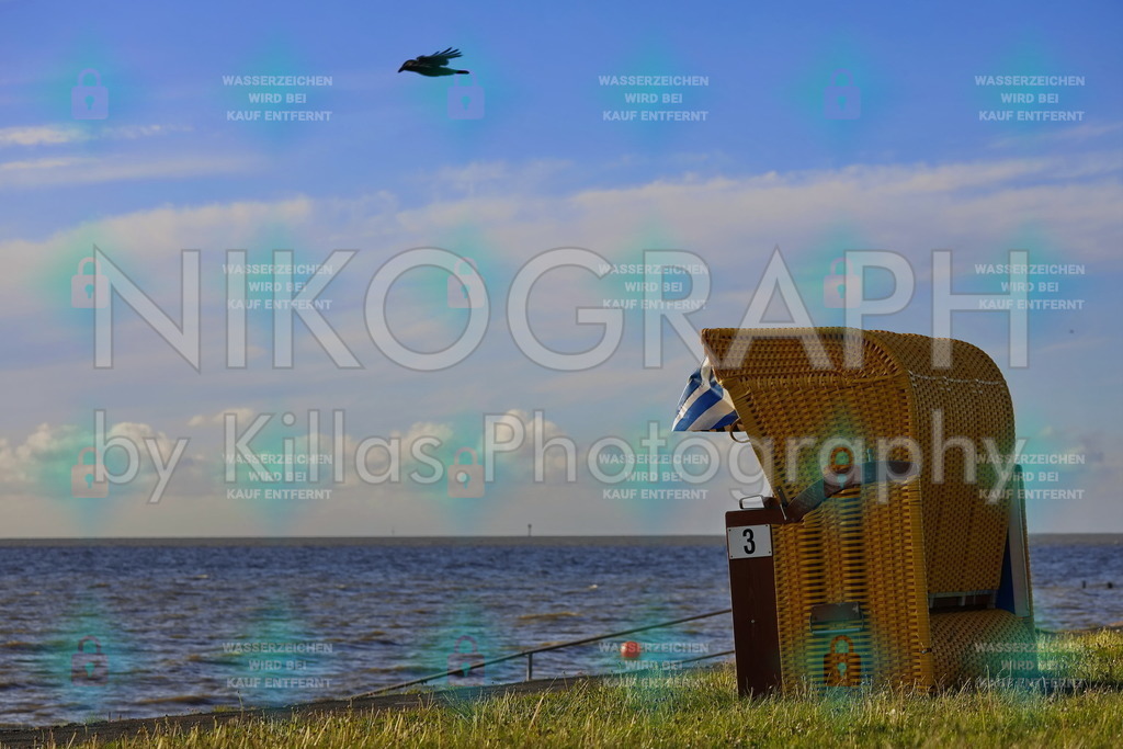 Strandkorb | Ein Rabe fliegt am Strandkorb am Standbad Eckwarderhörne vorbei. Am Horizont türmen sich die ersten Wolken in den blauen Himmel auf. Das Standbad Eckwarderhörne liegt gegenüber von Wilhelmshaven, am Südwestende der Halbinsel Butjadingen. In dem Bereich geht der Jadebusen zur Nordsee über.