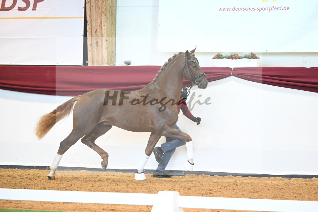 Kat-Nr. 74 v. Le Formidable_Maier_66220321 | hf-fotografie - Realisiert mit Pictrs.com