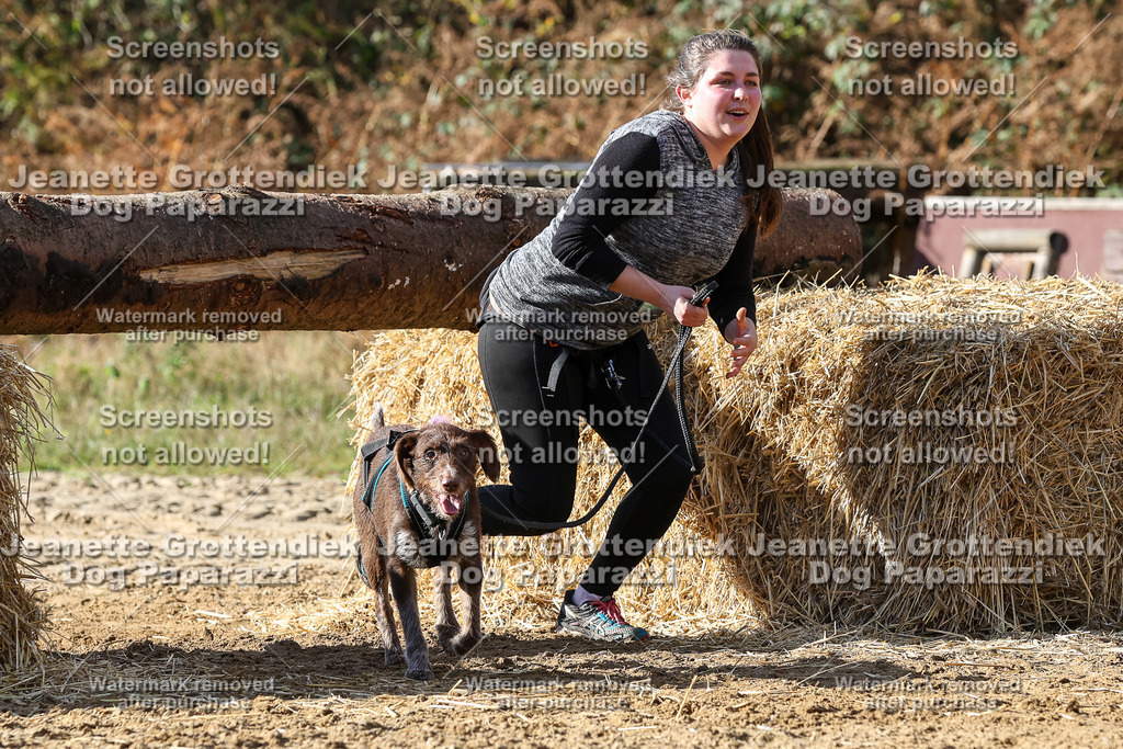 Dog Paparazzi - Strongdog 10-25-4905 | Dog Paparazzi Jeanette Grottendiek Fotografie & Videografie - Realisiert mit Pictrs.com