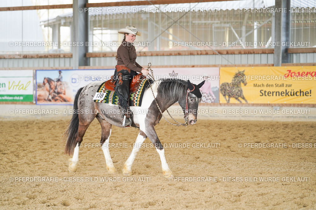 DSC02106 | Pferdegrafie