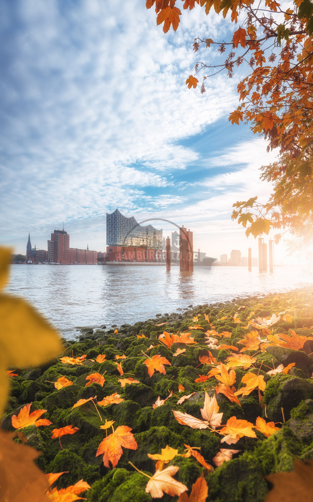 Eplhi im morgens Herbst | Exklusive Hamburg collagen, tolle Segelbilder und viele weitere tolle Motive auf Leinwand, Poster, Alu-Dibond, u.v.m. findet Ihr bei uns auf hamburgbild.de. Findet Euer Wandbild für Euer Zuhause, Büro oder die  Praxis…. - Realisiert mit Pictrs.com