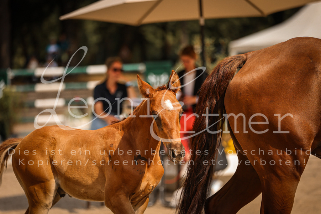 09.DoWBD00072 | Leoni Ertmer Photography - Realisiert mit Pictrs.com