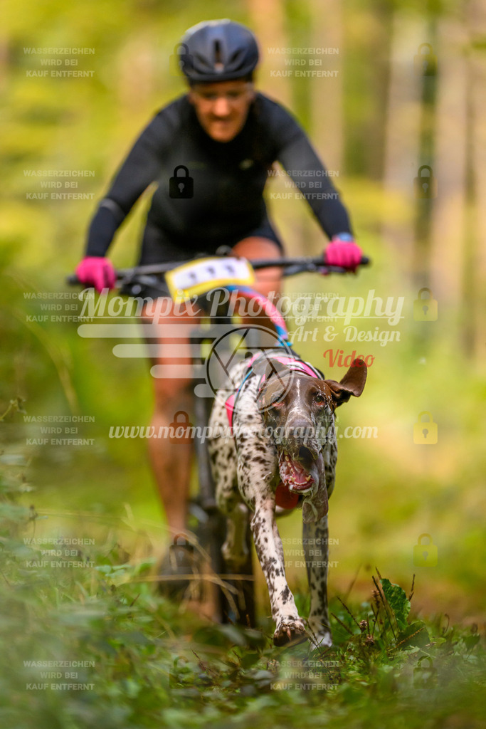 MompixPhotography_Yens2025_B2-28 | PayLife
