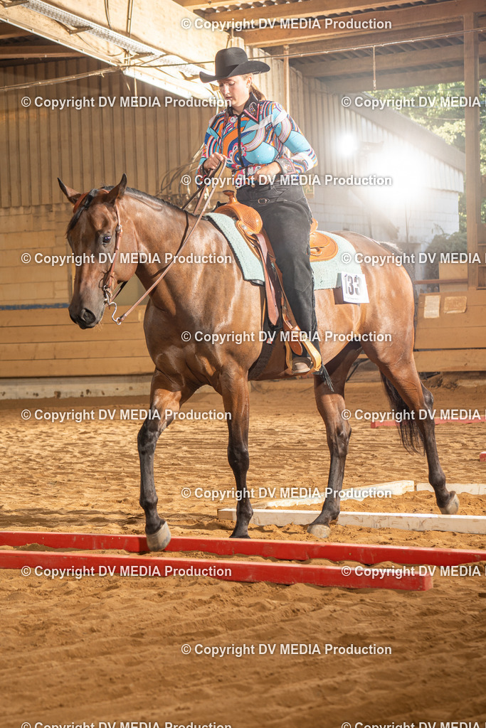 NID02649 | dv-media-shop - Realisiert mit Pictrs.com