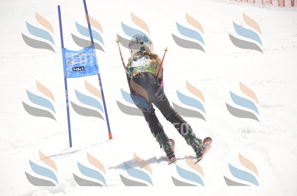 _ELE9092 | holidayphoto