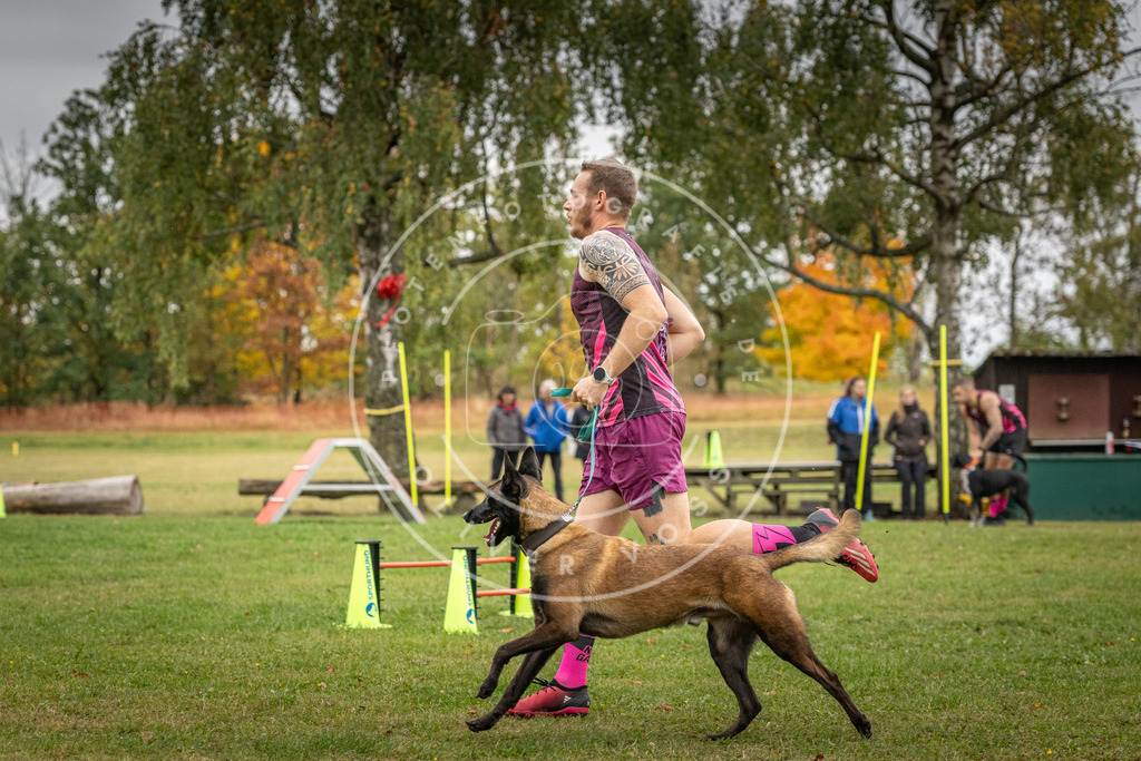 Pfotenfotografie_DV3A9749 | Hundefotografie, Tierfotograf, Pfotenfotografie, Fotoshooting Hund, Hunde Portrait, Hundesport, Hundeportraits, Heideshooting, Hunde, Sportfotograf, Hundefotograf, Turnierhundsport, THS,  - Realisiert mit Pictrs.com