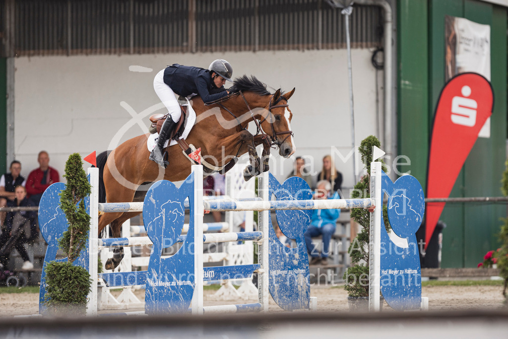 250627_PfSpTa_S1-Spr-542 | Deine schönsten Turniermomente als professionelle Fotos! Entdecke hochwertige Pferdesport-Fotografie im Online-Shop. Jetzt Fotos finden & bestellen!