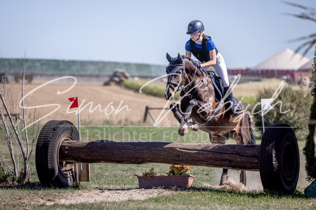 20260906-_3LI4165 | Tierfotografie Pferde, Hunde, Katzen, Haustiere.
Turnierfotografie Reitturniere, Reiten, Springreiten, Dressur in Hanau, dem Main-Kinzig-Kreis und dem Rhein-Main- Gebiet um Frankfurt