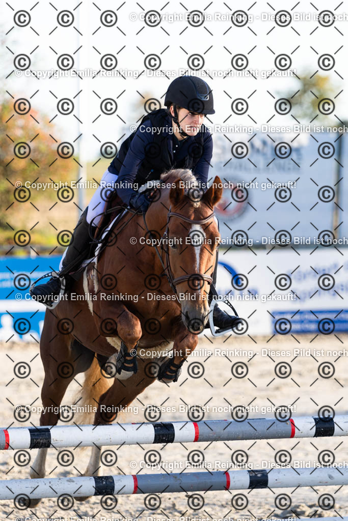 CL5A0857 | Emilia Reinking Fotografie - Realisiert mit Pictrs.com