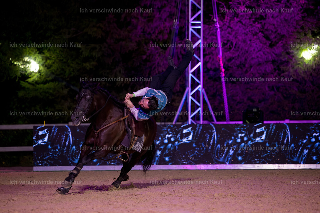Gala-620 | working equitationturnier fotograf videograf stoibphotography marixx film working equitation deutschland reitsport turnierfotografie eventfotografie equestrian events