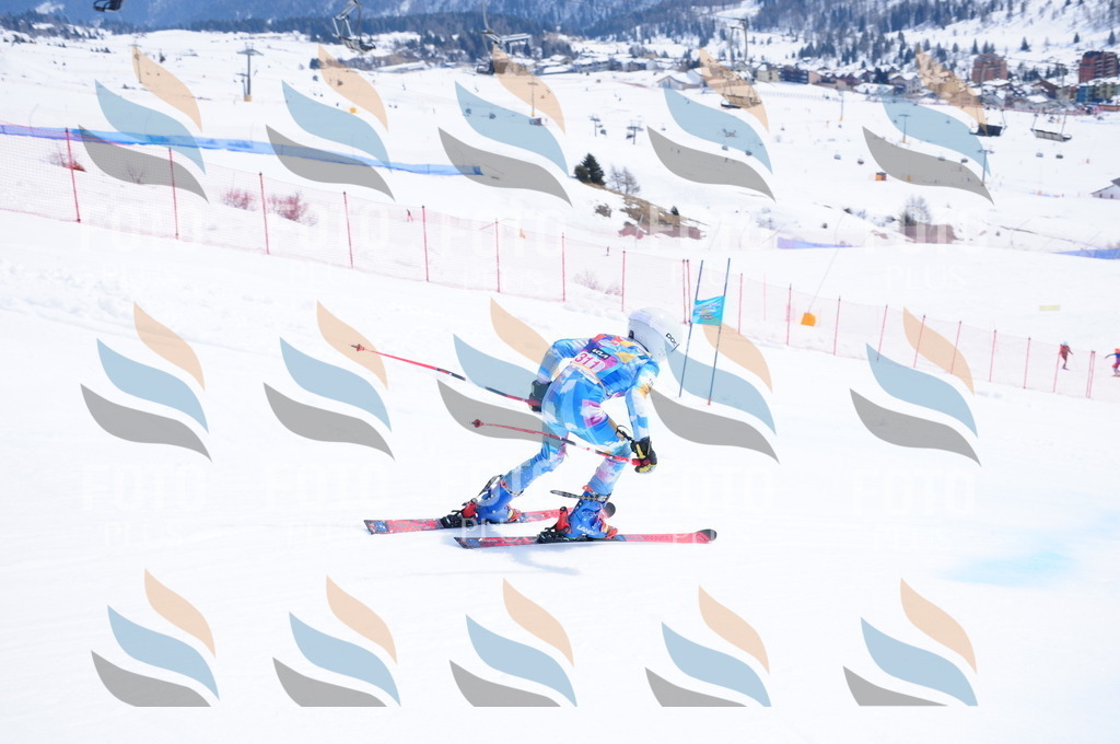 DSC_6768 | holidayphoto