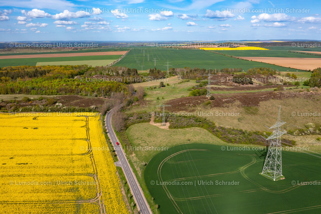 10049-51910 - Blühende Rapsfelder | Stockfoto und Bilderpool mit Bildmaterial aus Deutschland, dem Harz, Halberstadt, Quedlinburg, Wernigerode und weltweit. Qualitativ hochwertige und professionelle Fotos anschauen und kaufen. - Realisiert mit Pictrs.com