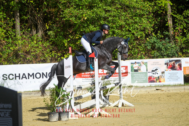 DKP42344 | Turniersportfotografie; Pferdefotografie; Dressurfotografie