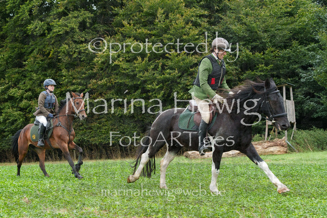Jagd Perdoel_MarinaHewigMCH04010 | Fotografie, FotoArt, PferdesportArt, Pferdesportfotografie, Landschaftsfotografie, Reisefotografie, Reise, Pferde - Realisiert mit Pictrs.com