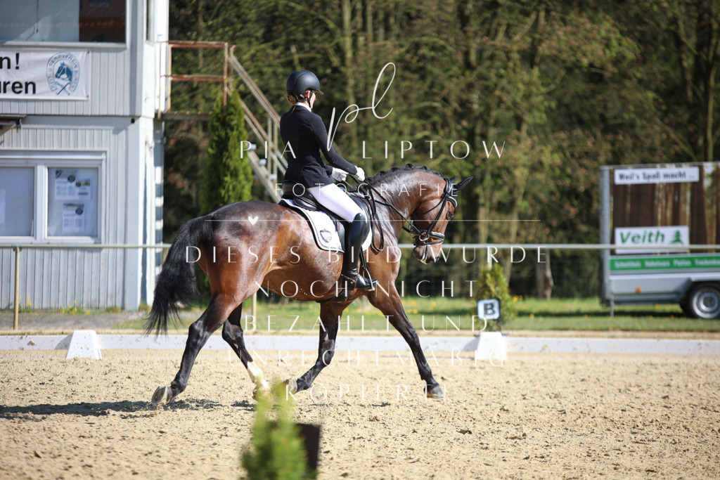 IMGT8795 | pl-fotografie